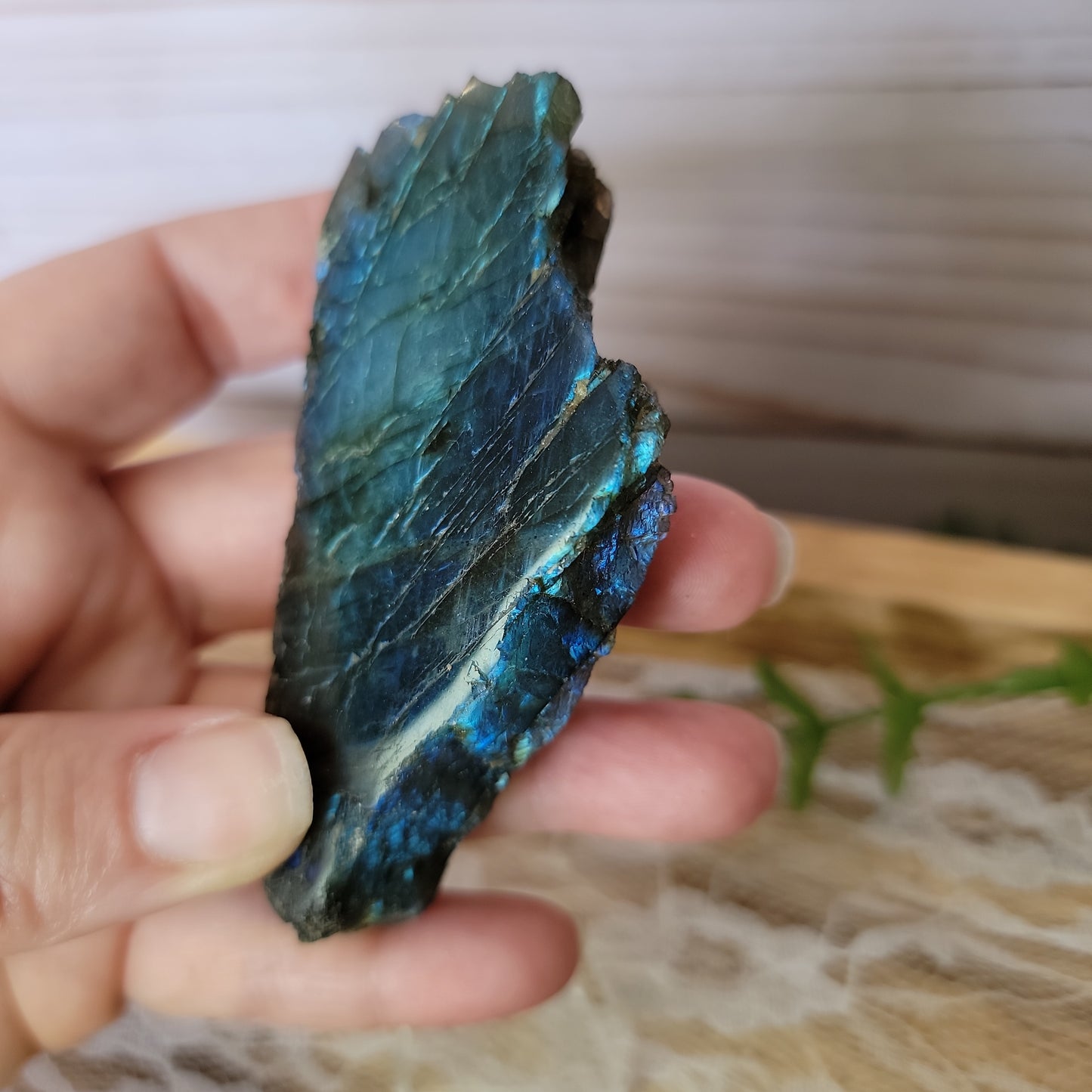 Semi Polished Labradorite