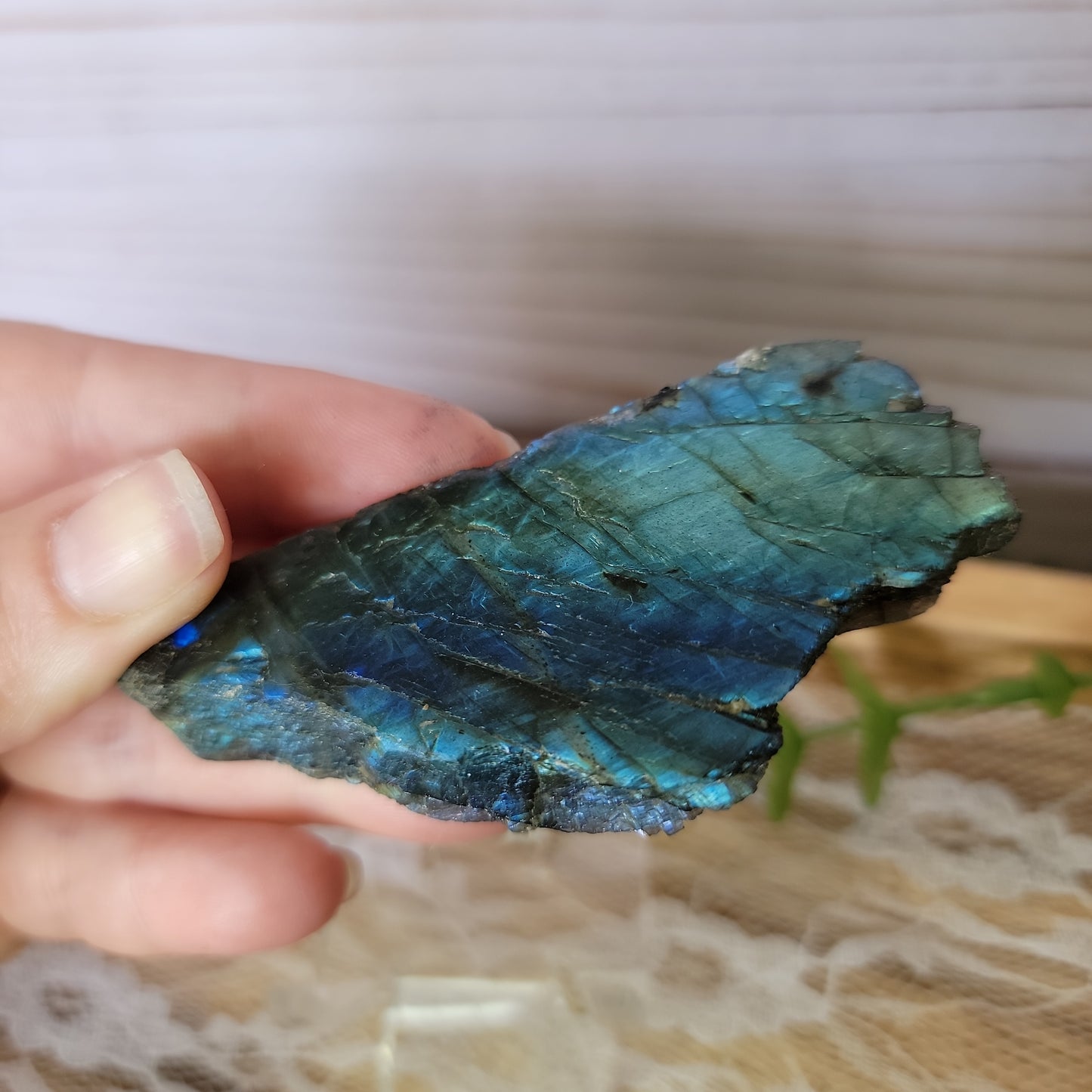 Semi Polished Labradorite