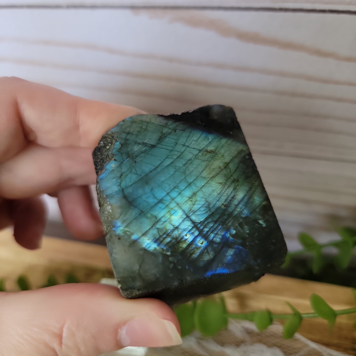 Semi Polished Labradorite
