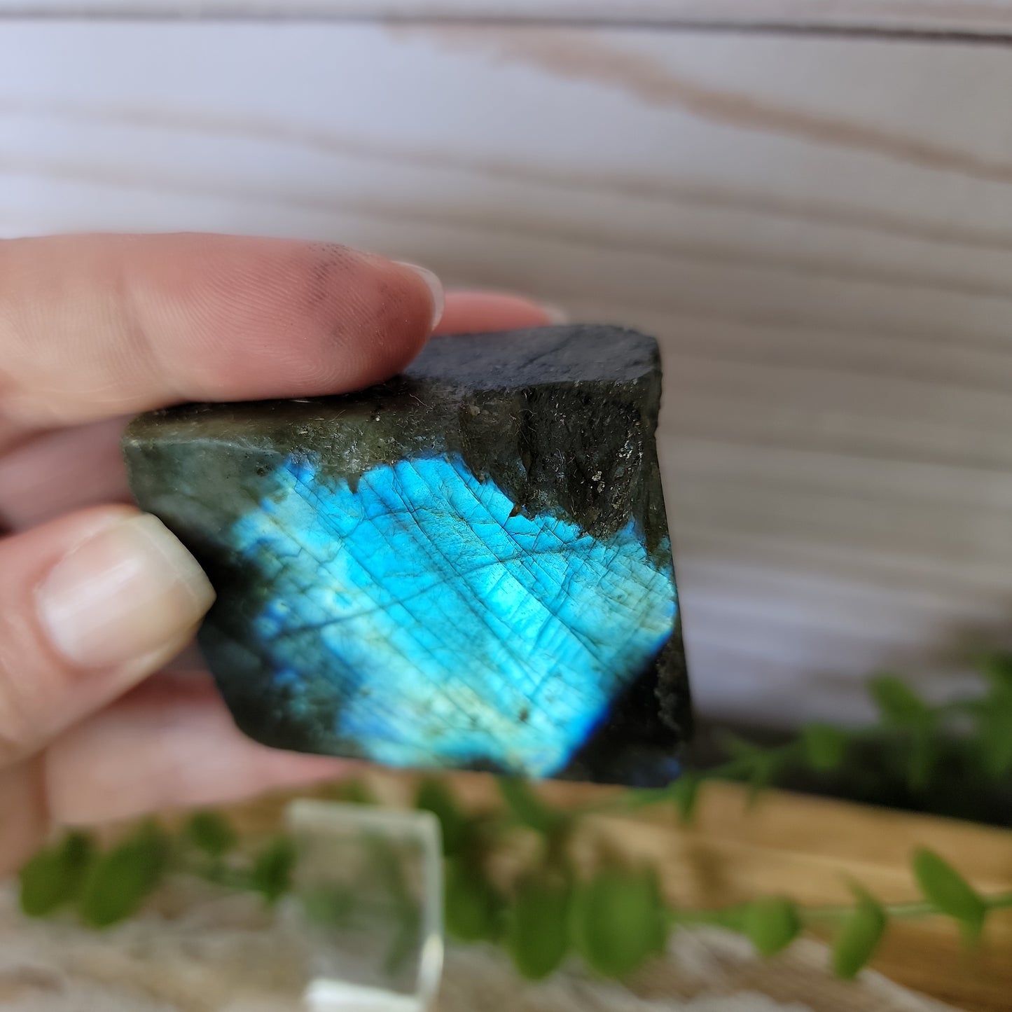 Semi Polished Labradorite