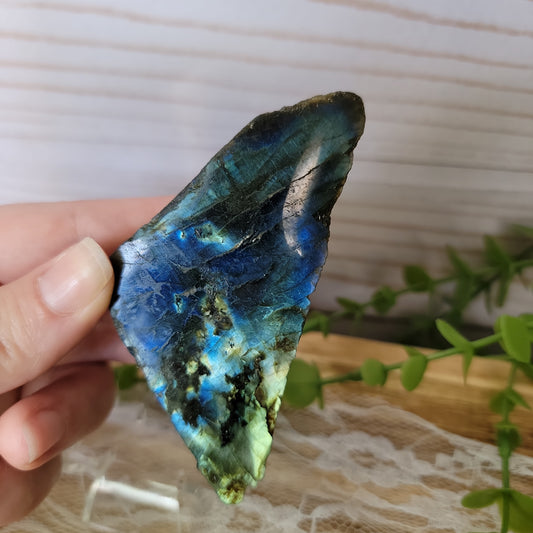 Semi Polished Labradorite