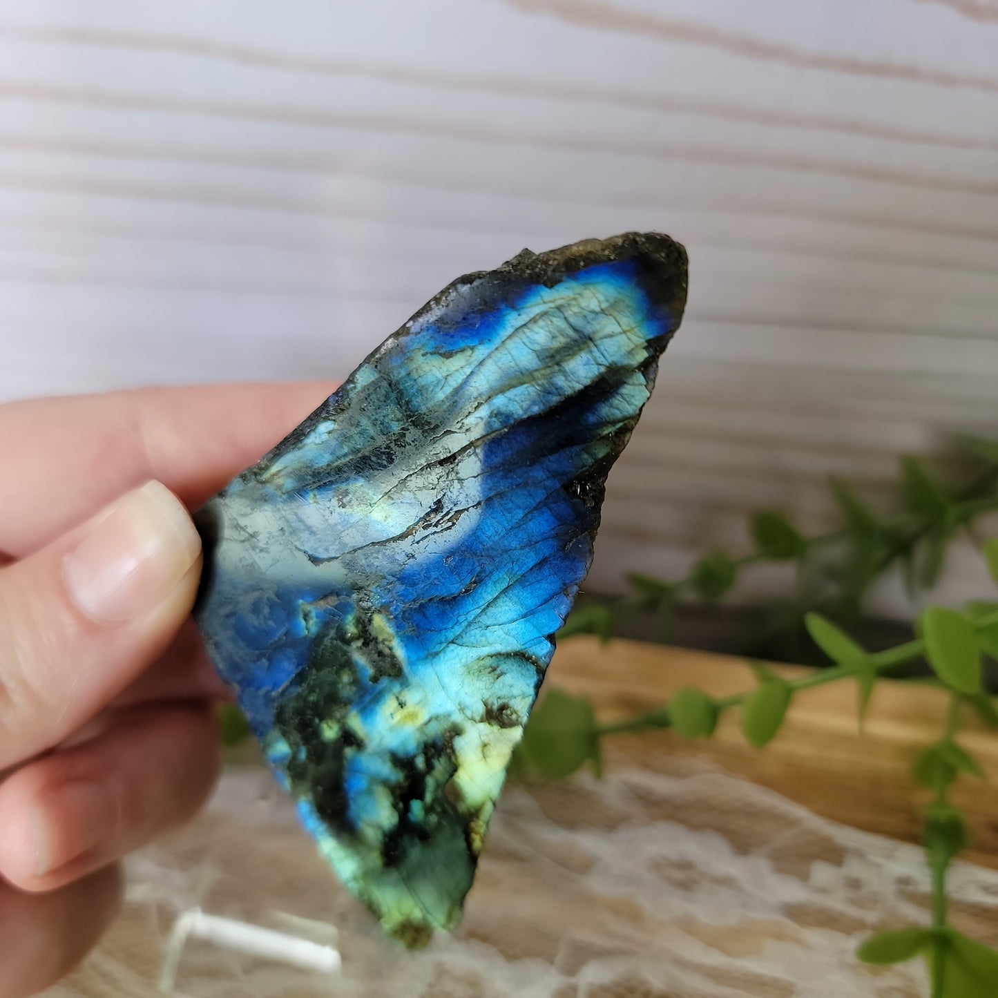 Semi Polished Labradorite
