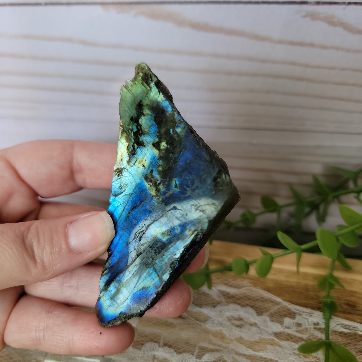 Semi Polished Labradorite