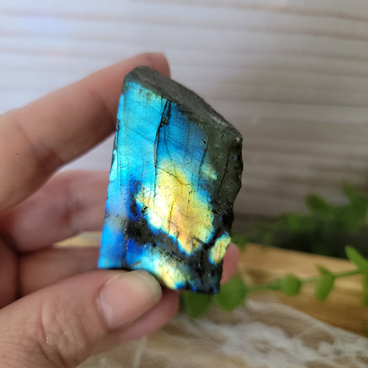 Semi Polished Labradorite