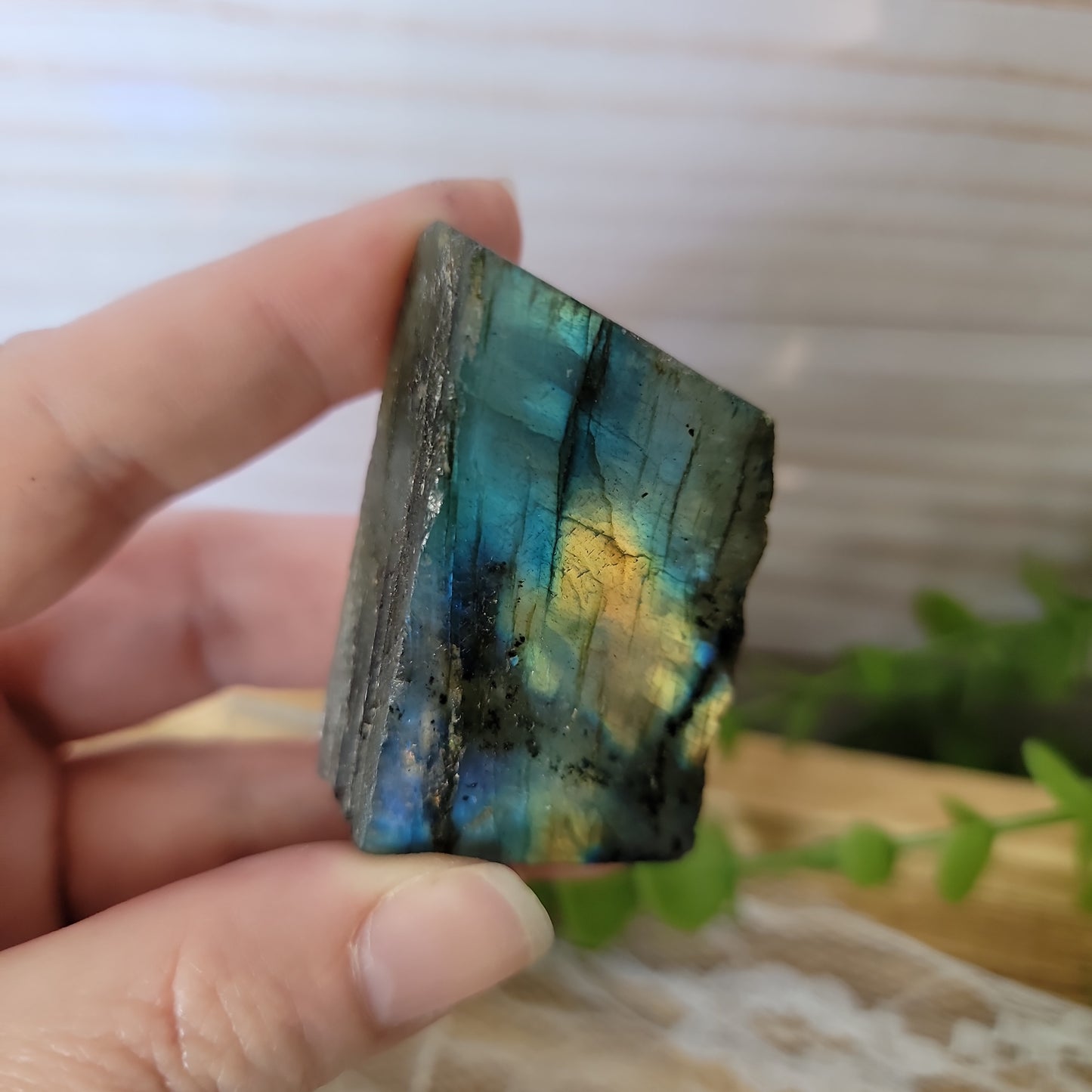 Semi Polished Labradorite