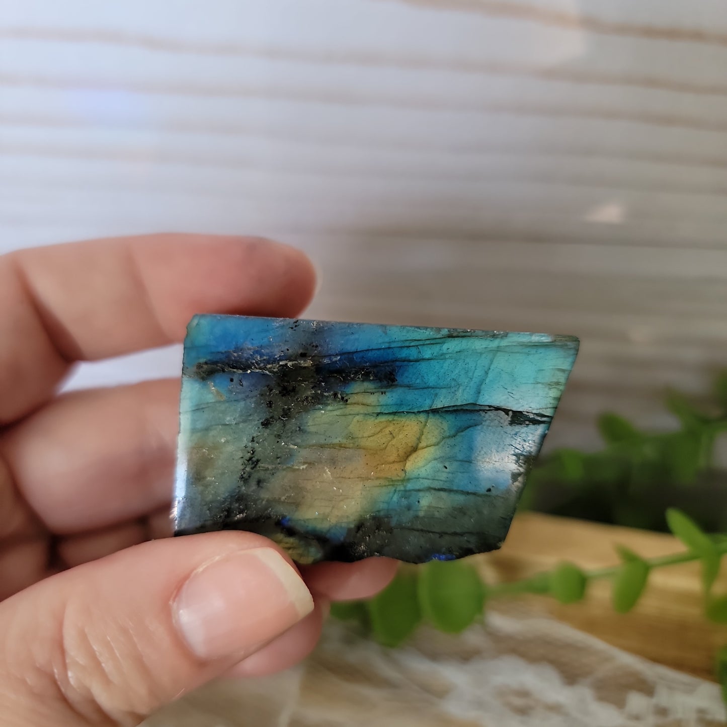 Semi Polished Labradorite