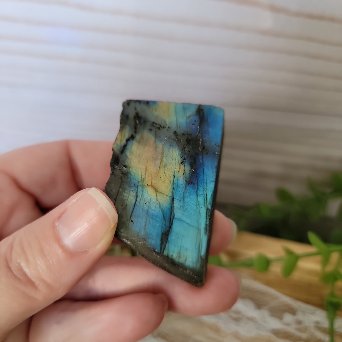 Semi Polished Labradorite