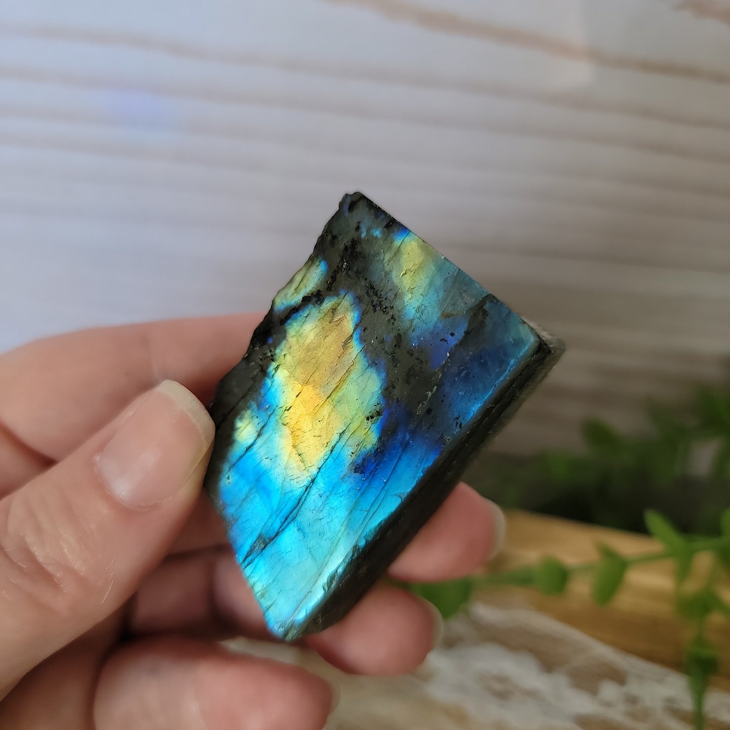 Semi Polished Labradorite