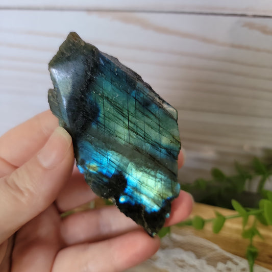 Semi Polished Labradorite