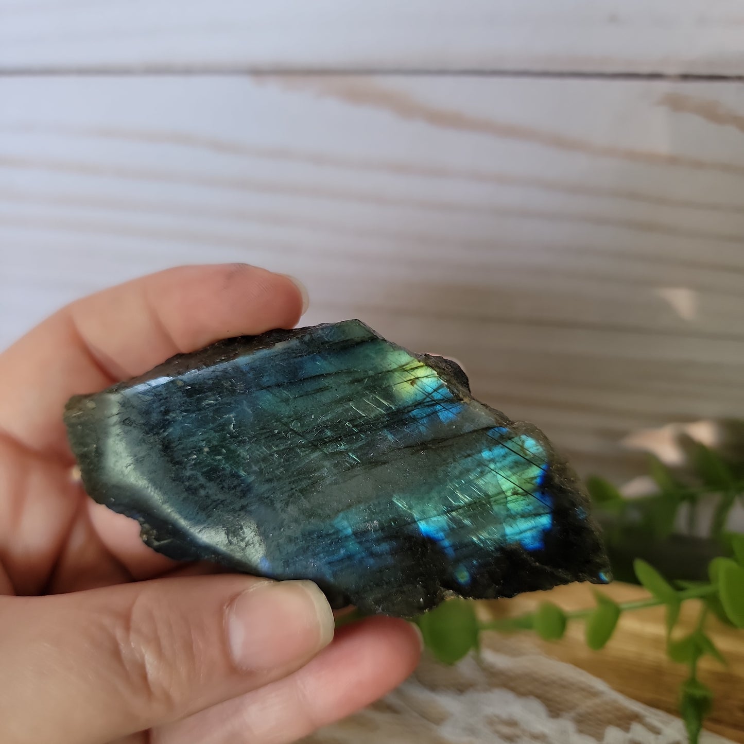 Semi Polished Labradorite