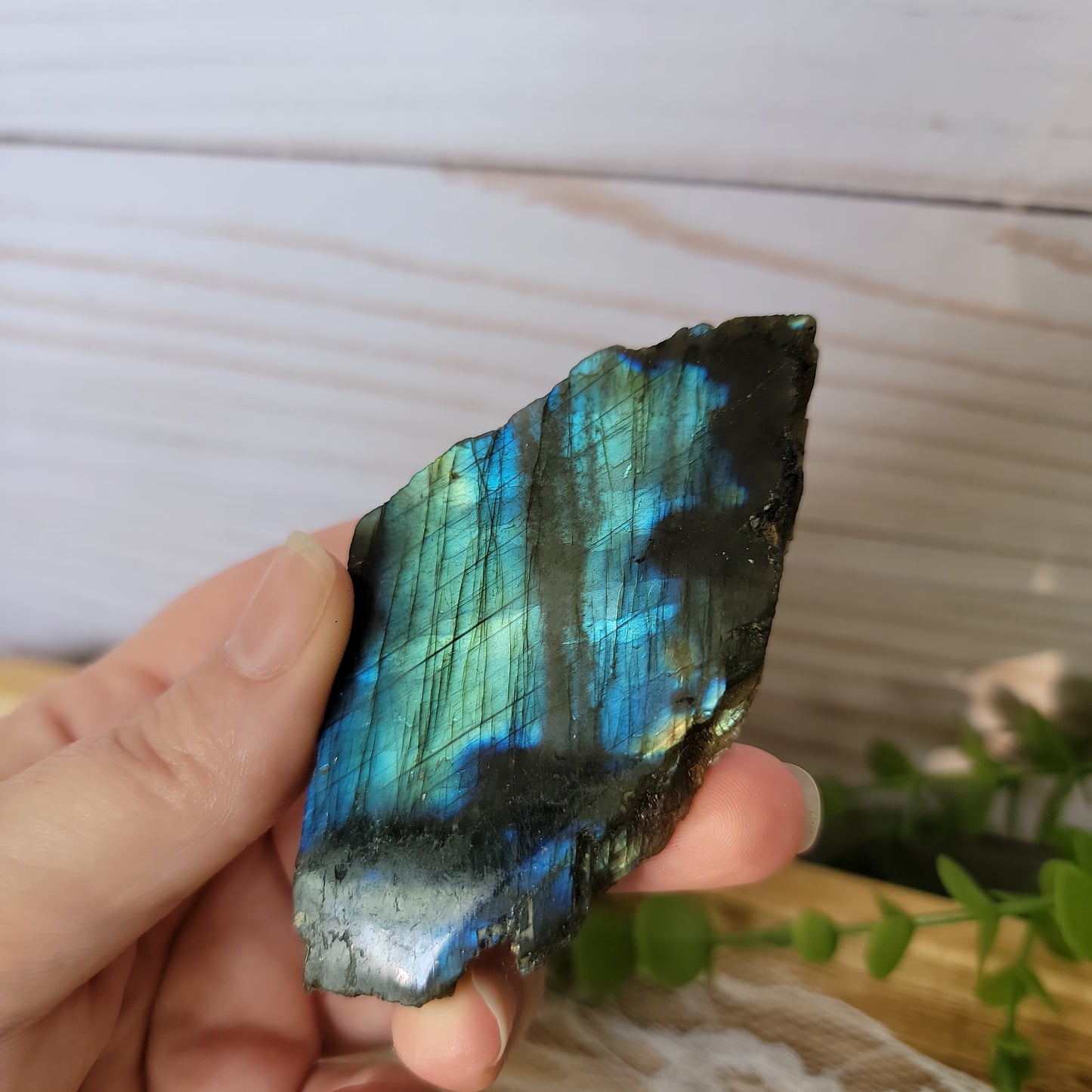 Semi Polished Labradorite