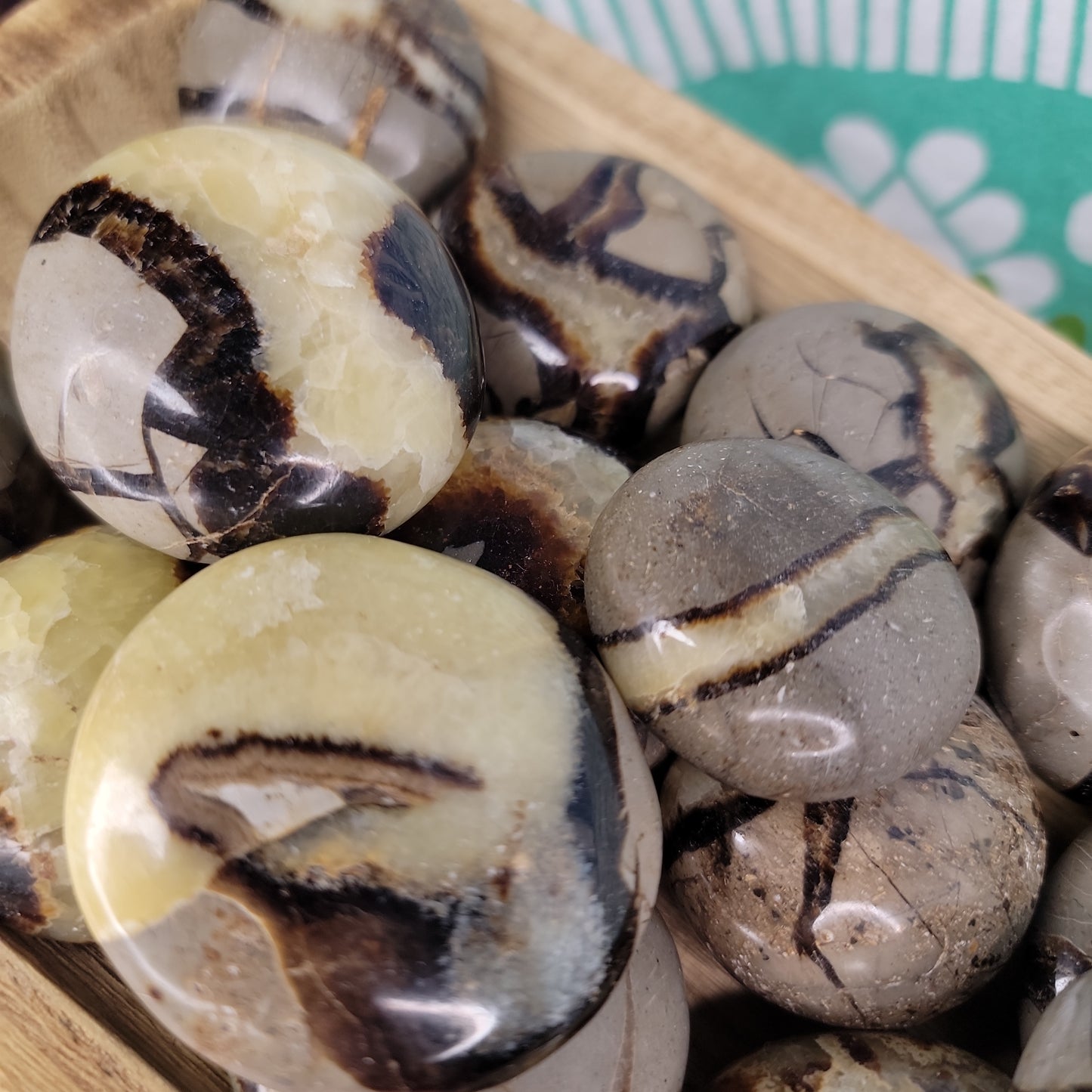 Septarian Pebbles (UV Reactive)