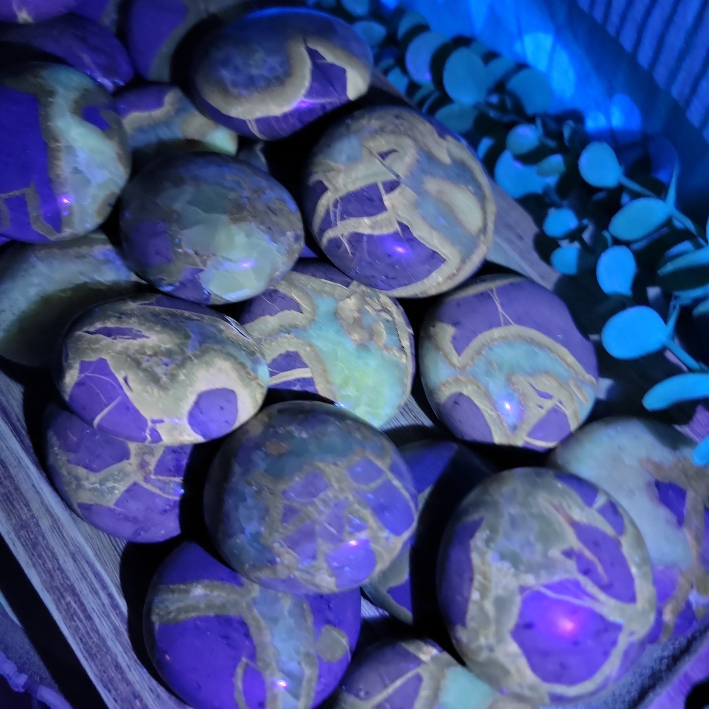 Septarian Pebbles (UV Reactive)