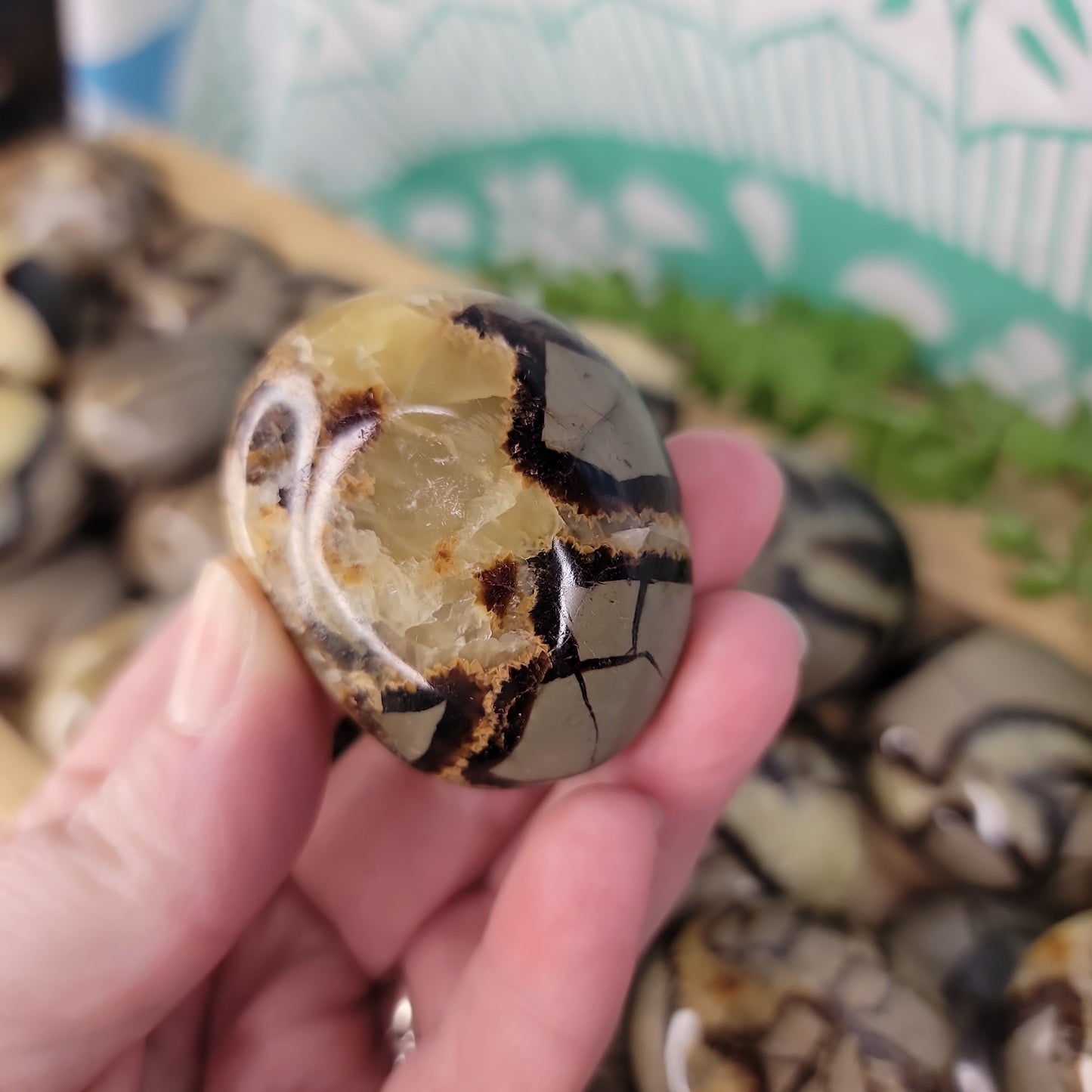 Septarian Pebbles (UV Reactive)