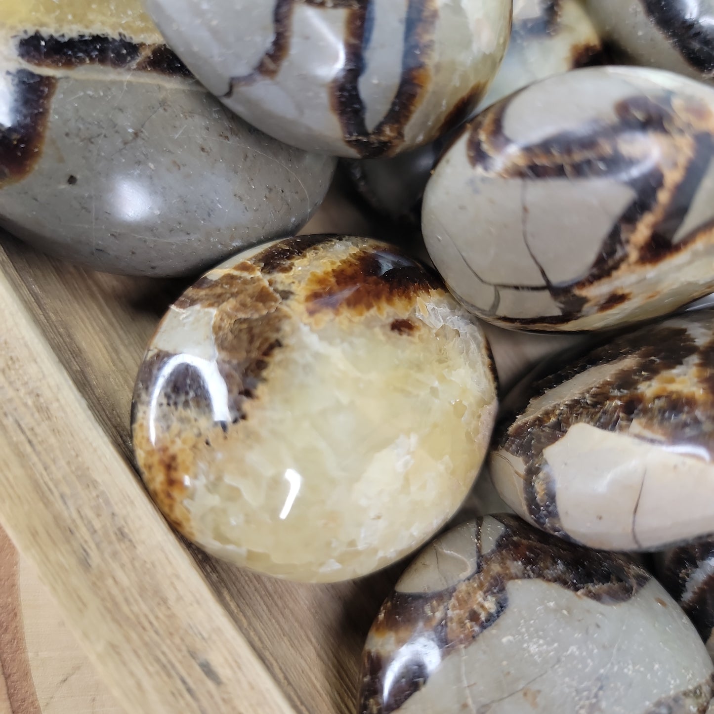 Septarian Pebbles (UV Reactive)