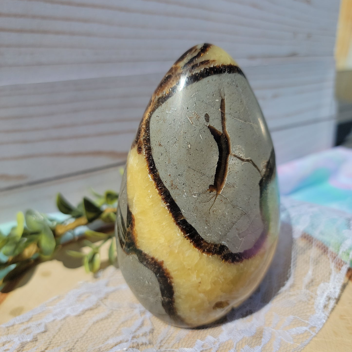Septarian Freeform A ( UV Reactive)