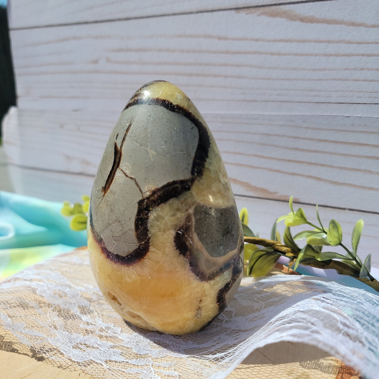 Septarian Freeform A ( UV Reactive)