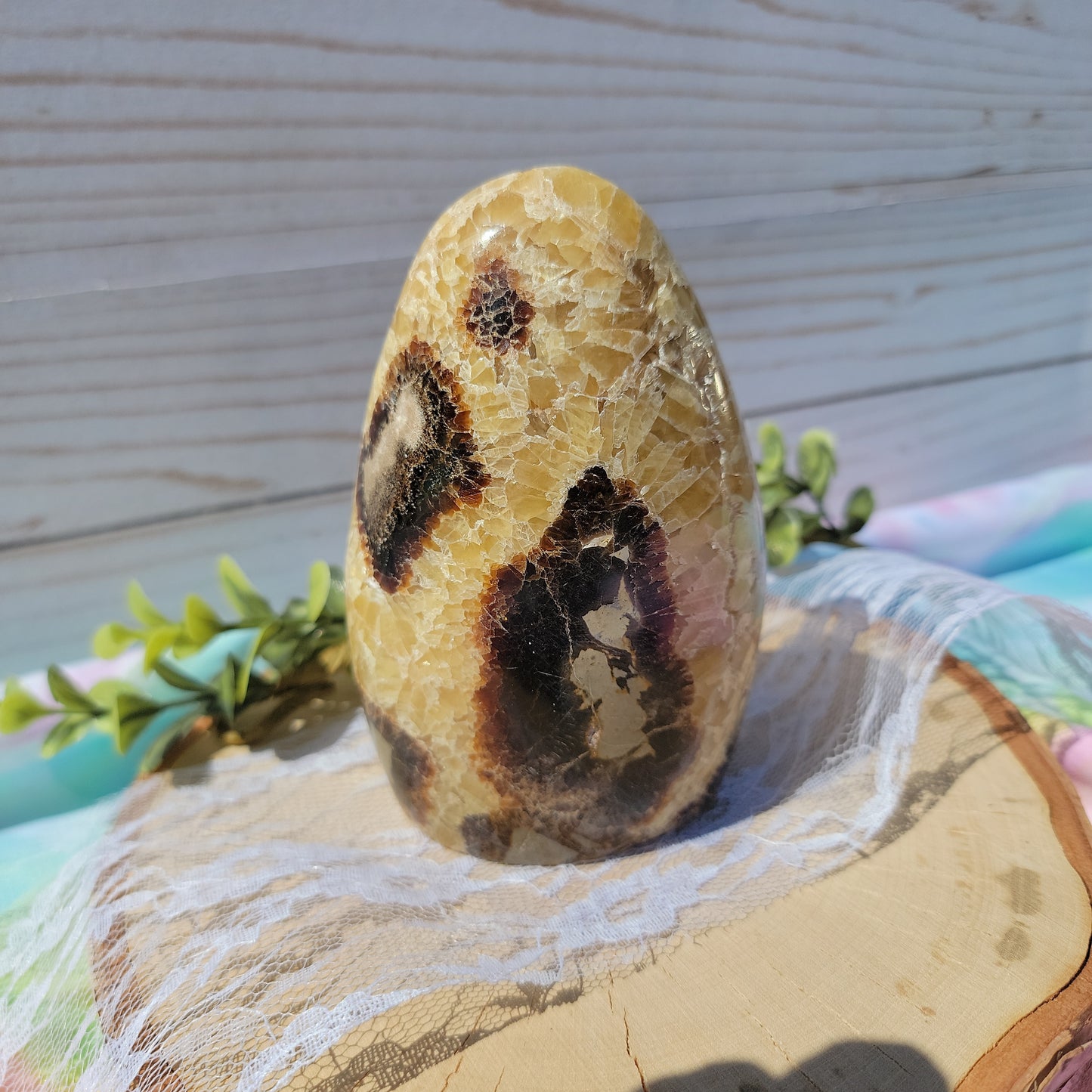 Septarian Freeform B (UV Reactive)
