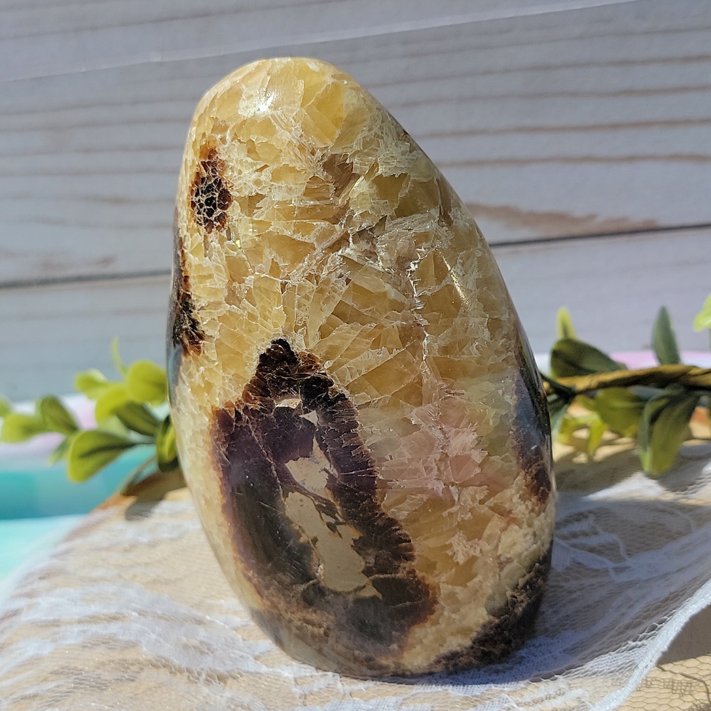 Septarian Freeform B (UV Reactive)