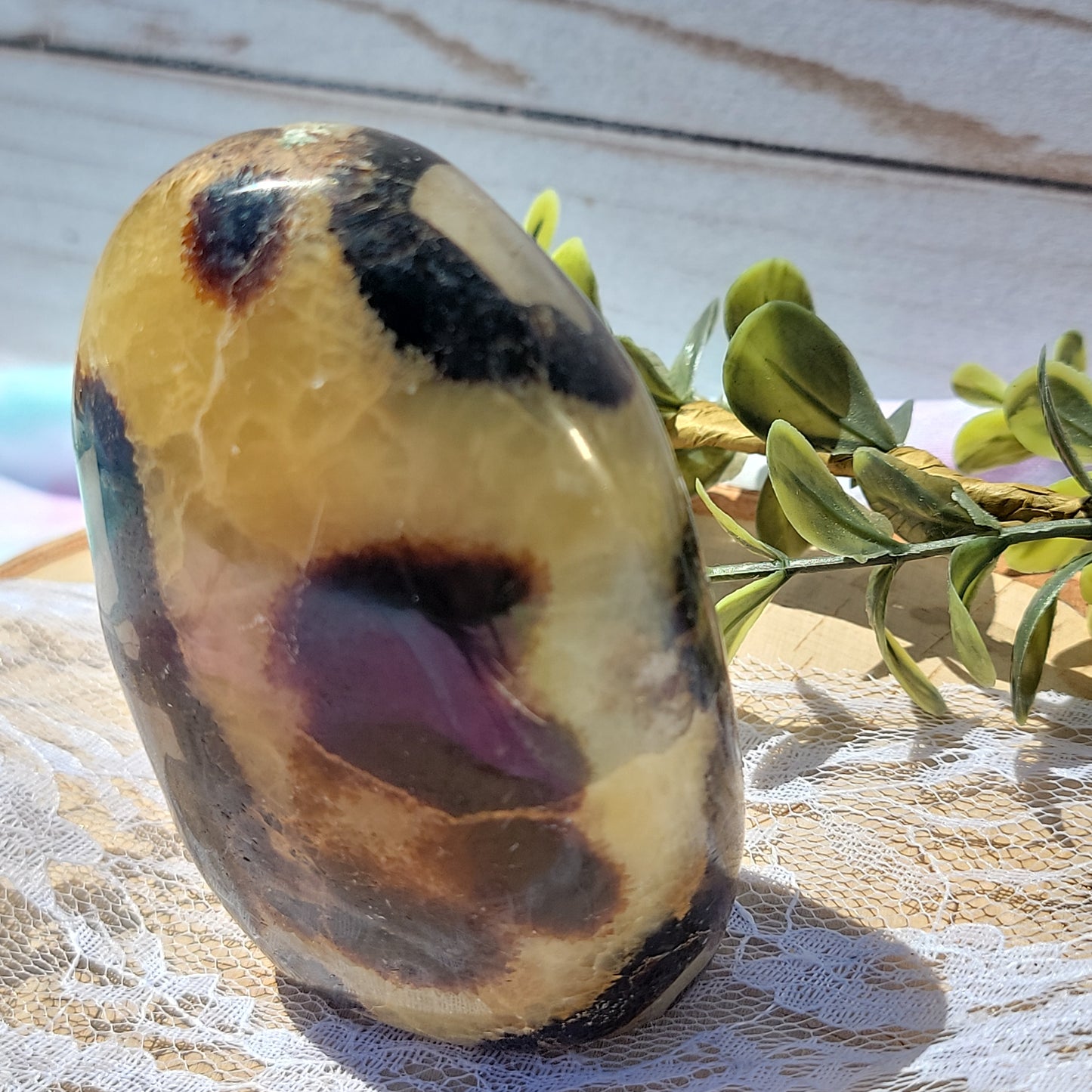 Septarian Freeform D (UV Reactive)