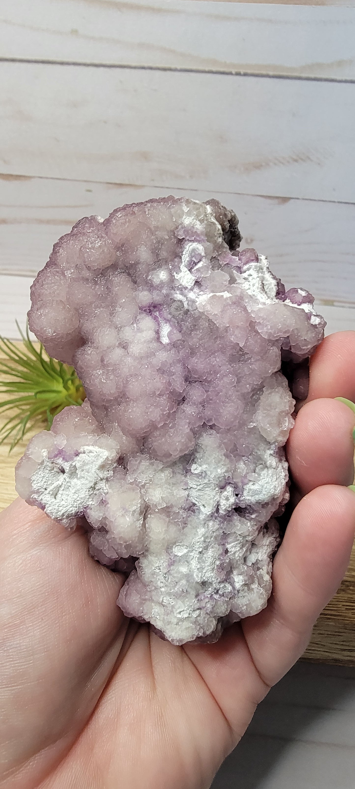 Fluorite From Tombstone Arizona