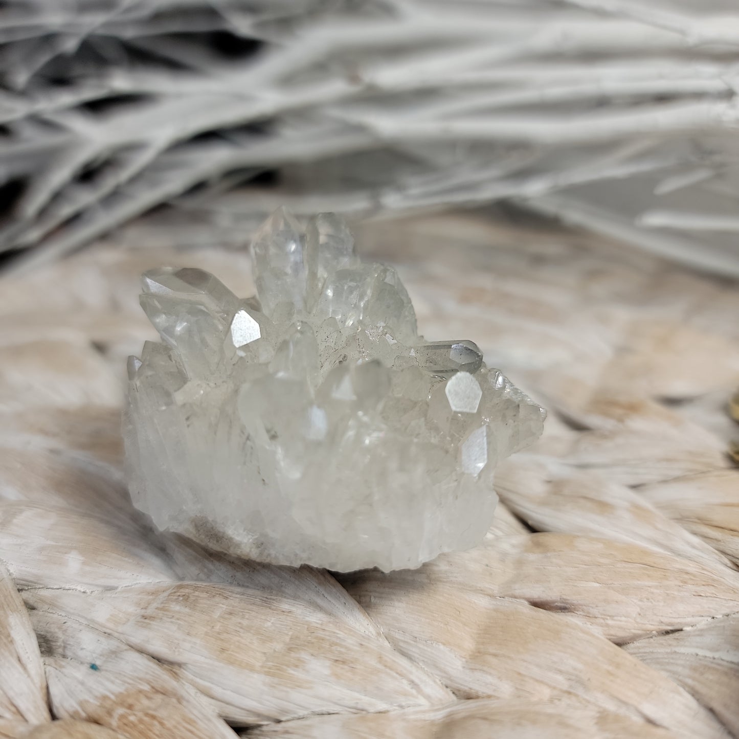 Clear Quartz Hedgehog cluster Bayside Treasures