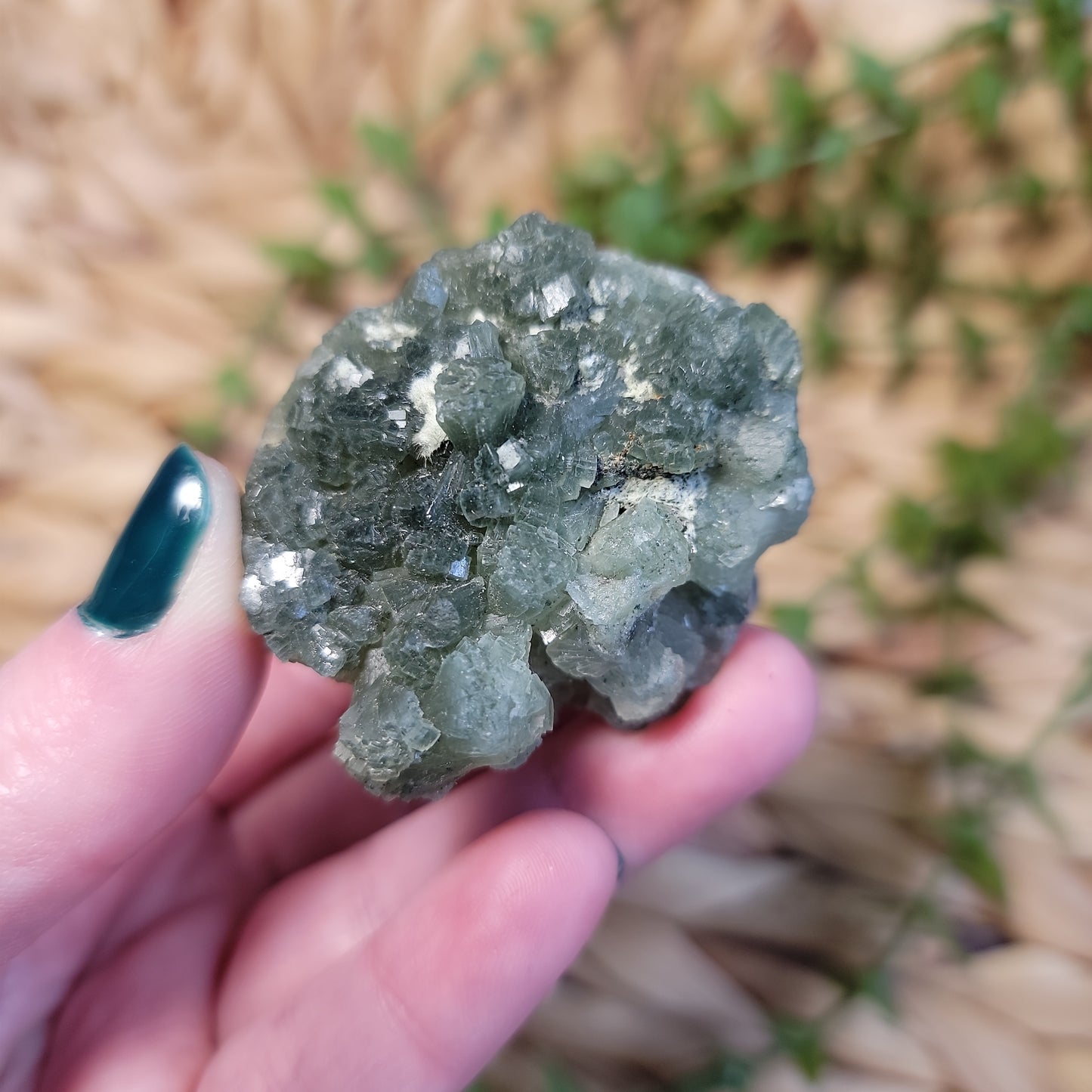Prehnite with Epidote Cluster Bayside Treasures