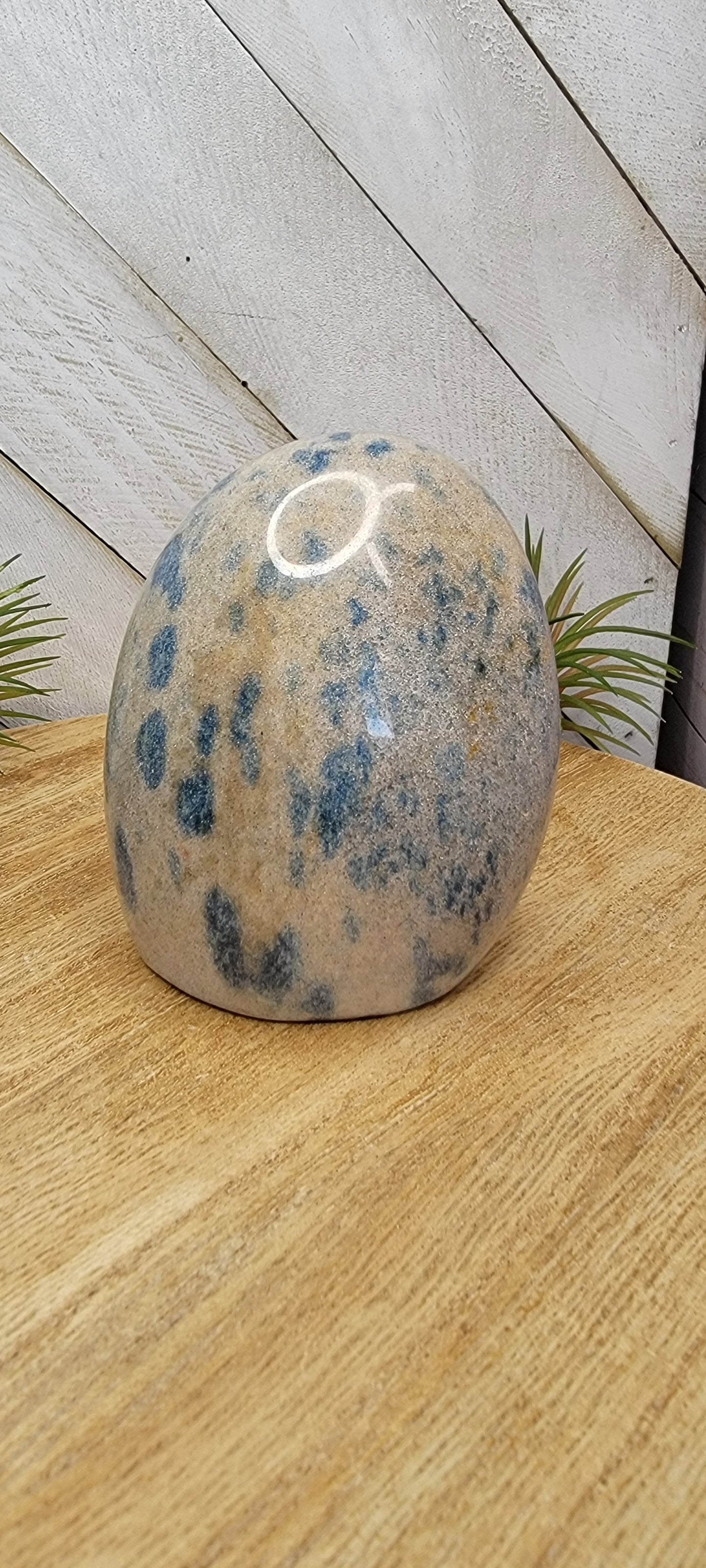 K2 Free Form Bayside Treasures