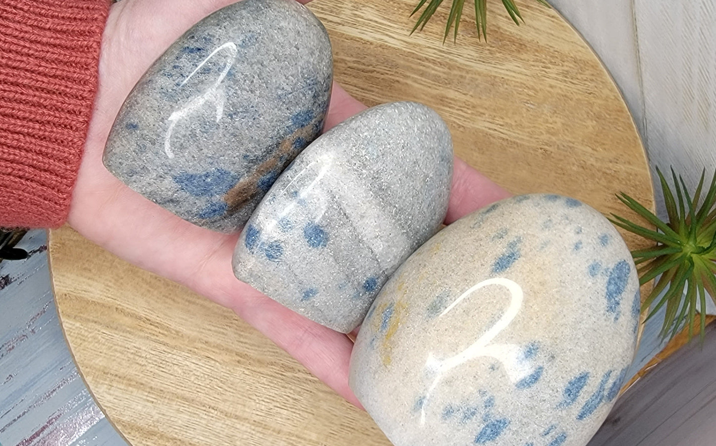 K2 Free Form Bayside Treasures