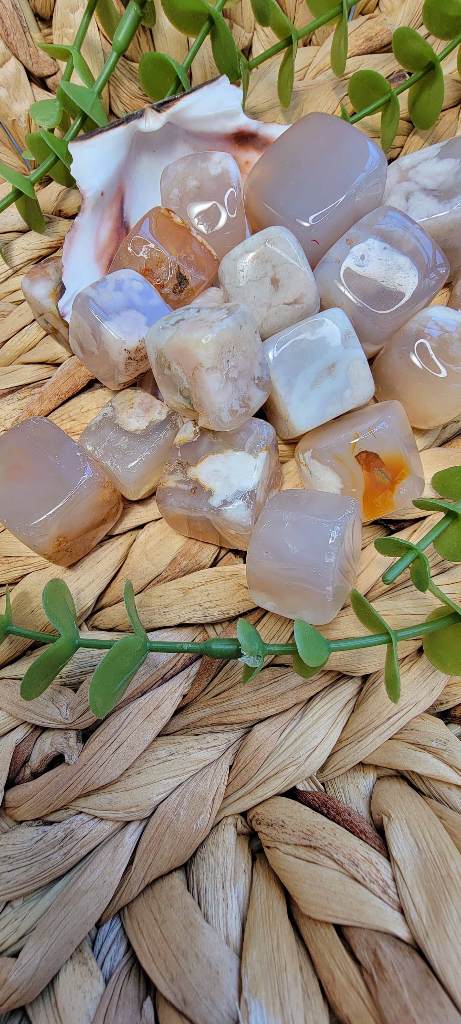 Flower Agate Cubes Bayside Treasures