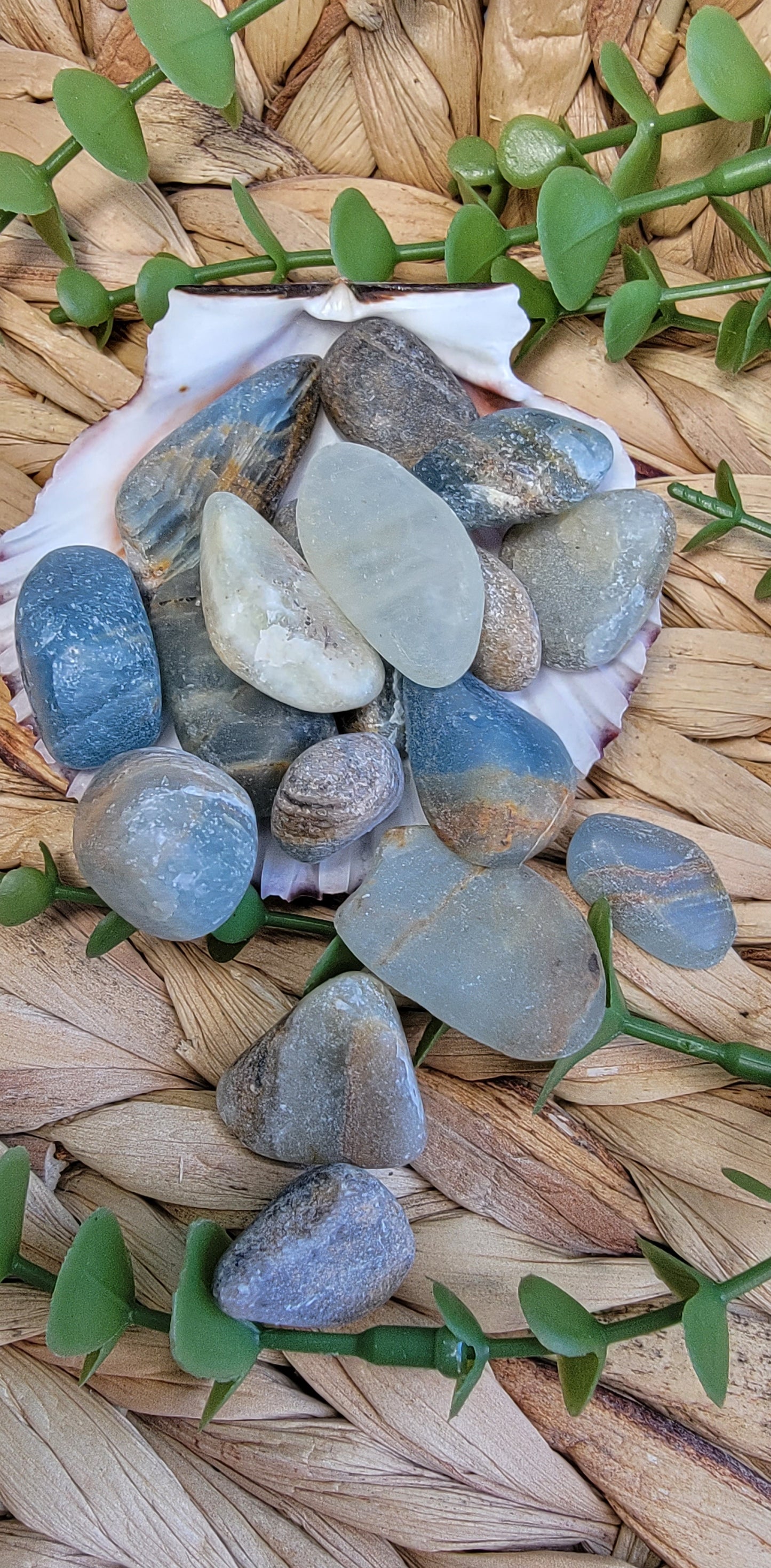Blue Onxy Tumbles Bayside Treasures