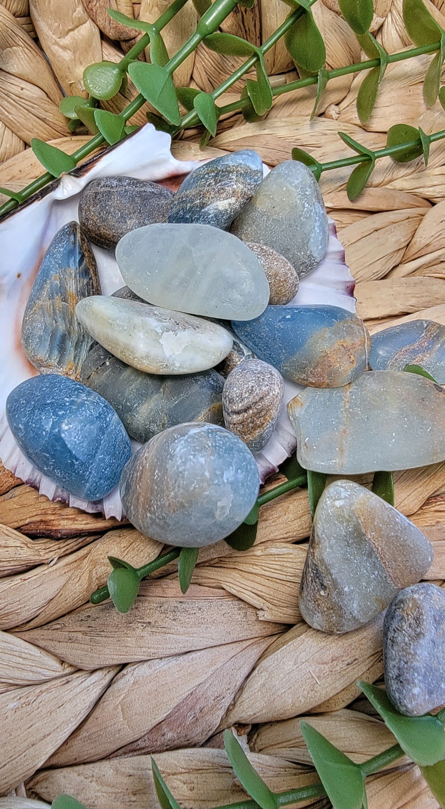 Blue Onxy Tumbles Bayside Treasures