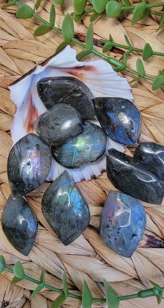 Small Labradorite Free Forms Bayside Treasures