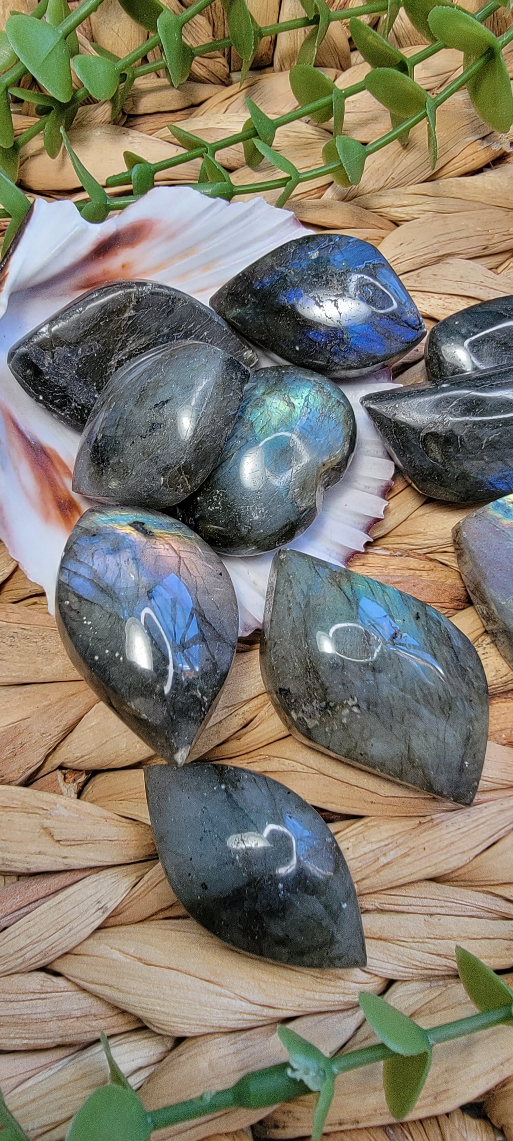 Small Labradorite Free Forms Bayside Treasures