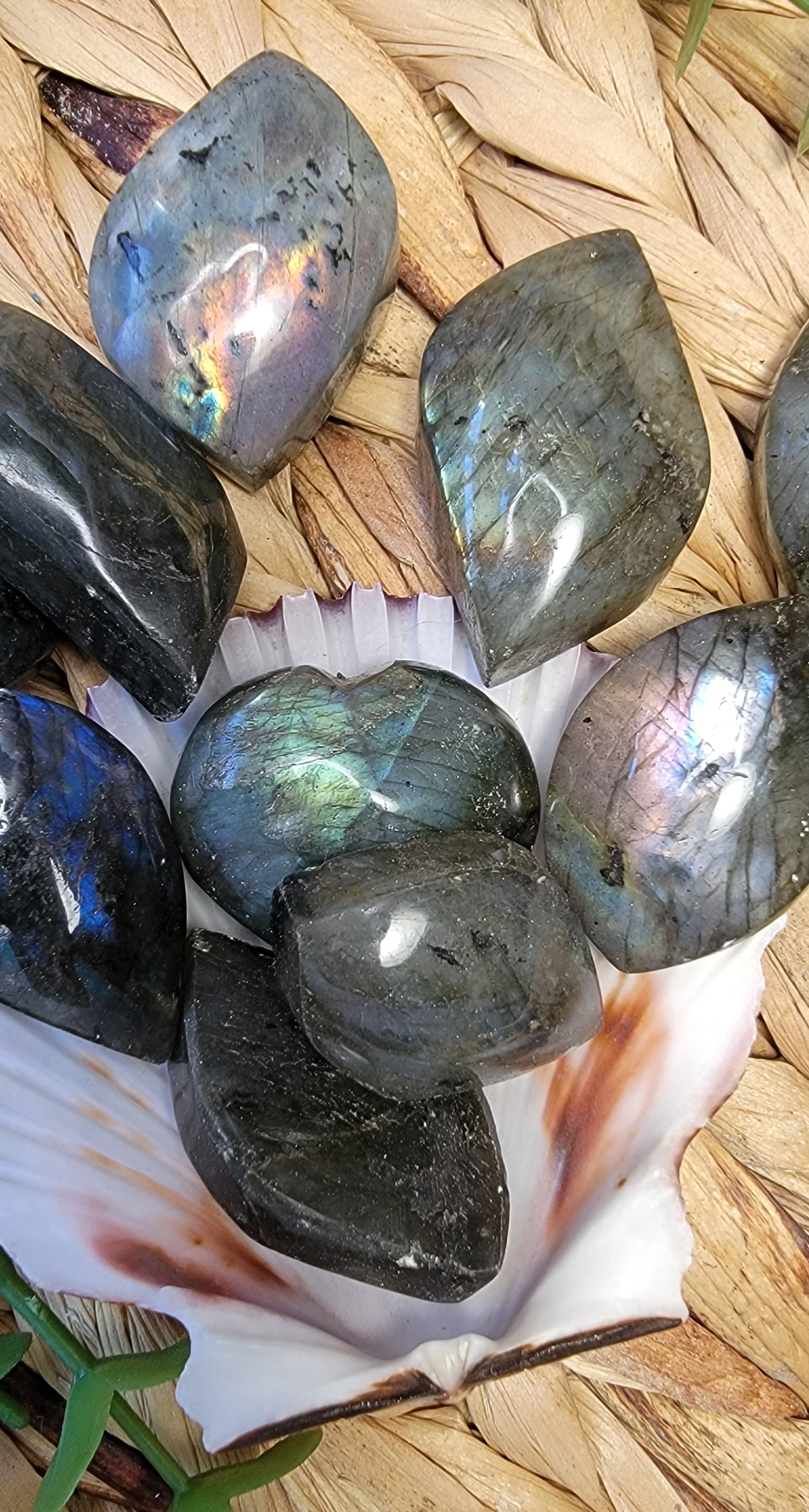 Small Labradorite Free Forms Bayside Treasures