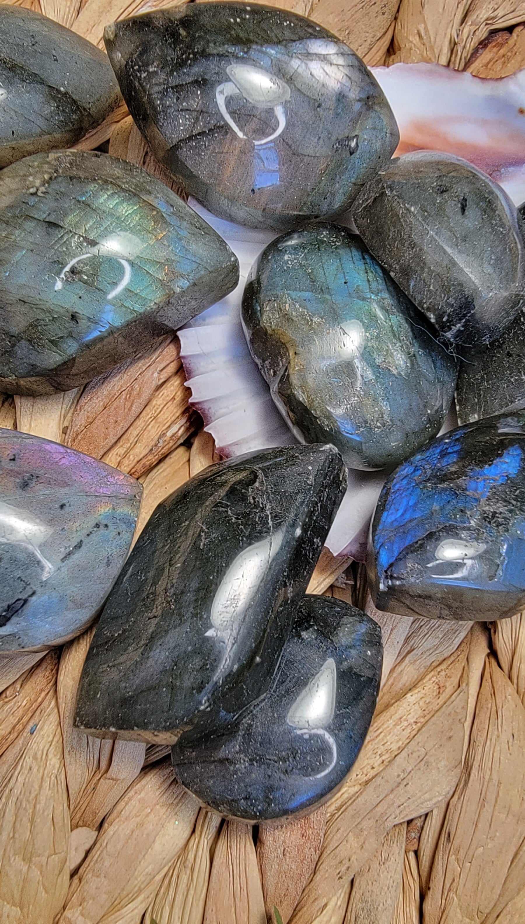 Small Labradorite Free Forms Bayside Treasures