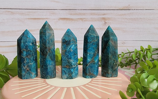 Blue Appetite Towers Bayside Treasures