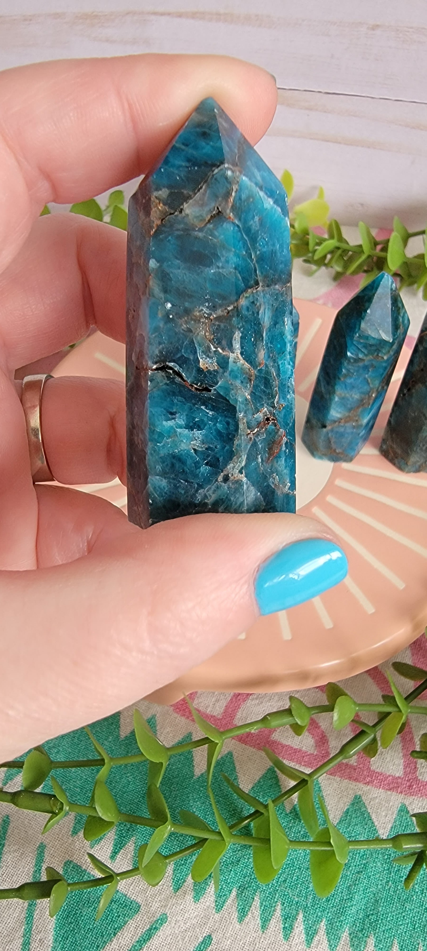 Blue Appetite Towers Bayside Treasures