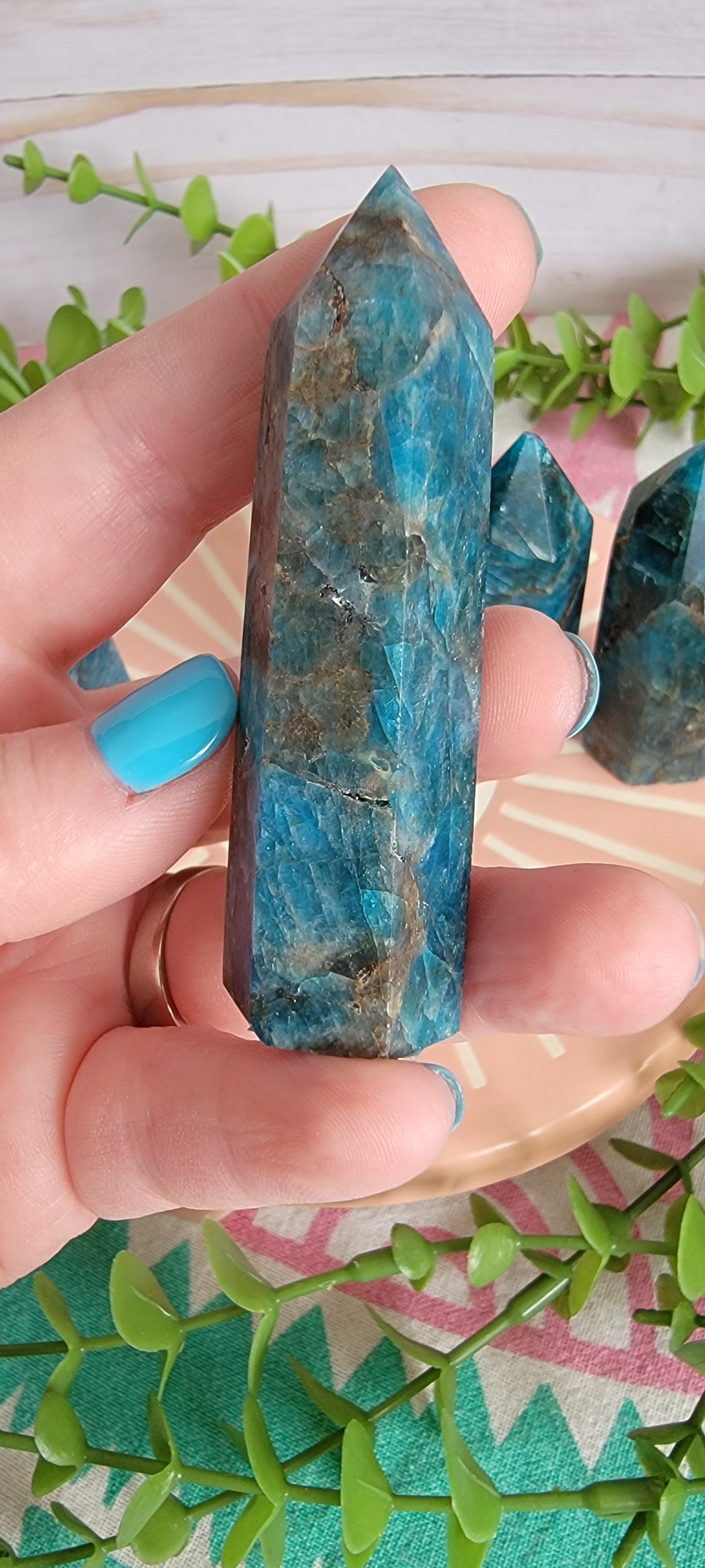 Blue Appetite Towers Bayside Treasures