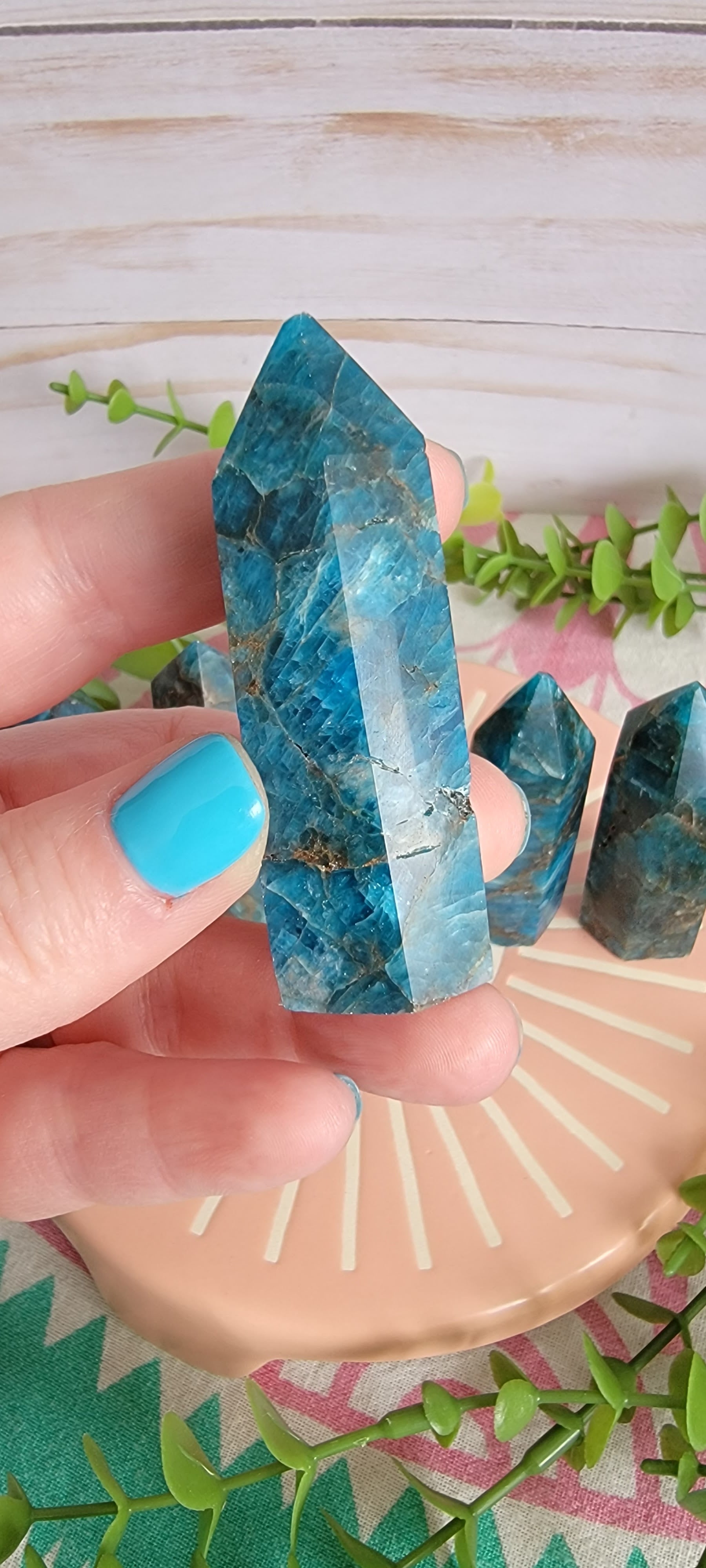 Blue Appetite Towers Bayside Treasures