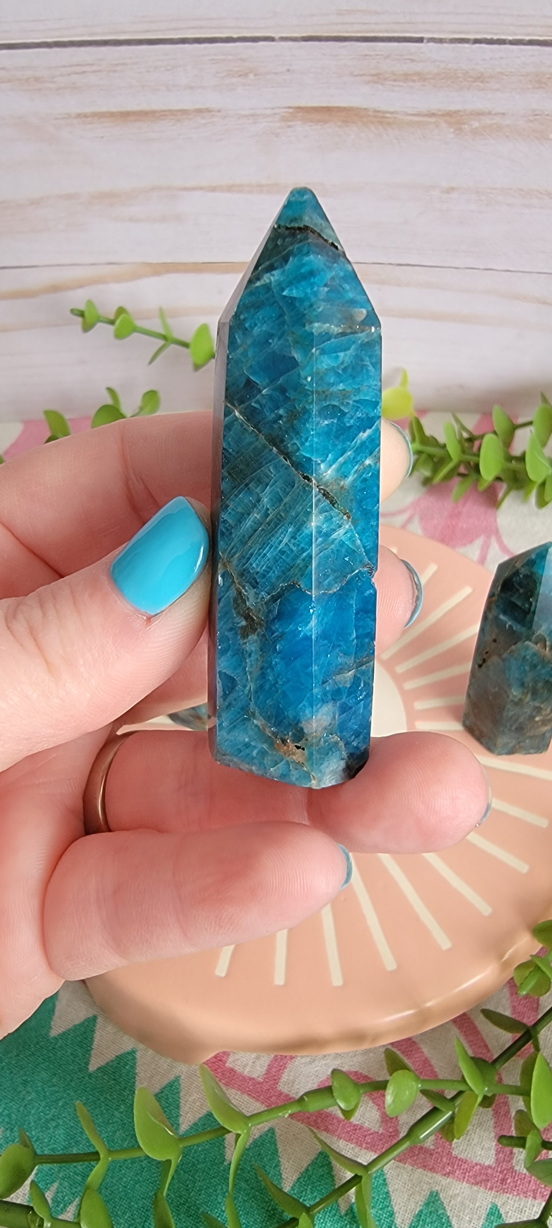 Blue Appetite Towers Bayside Treasures