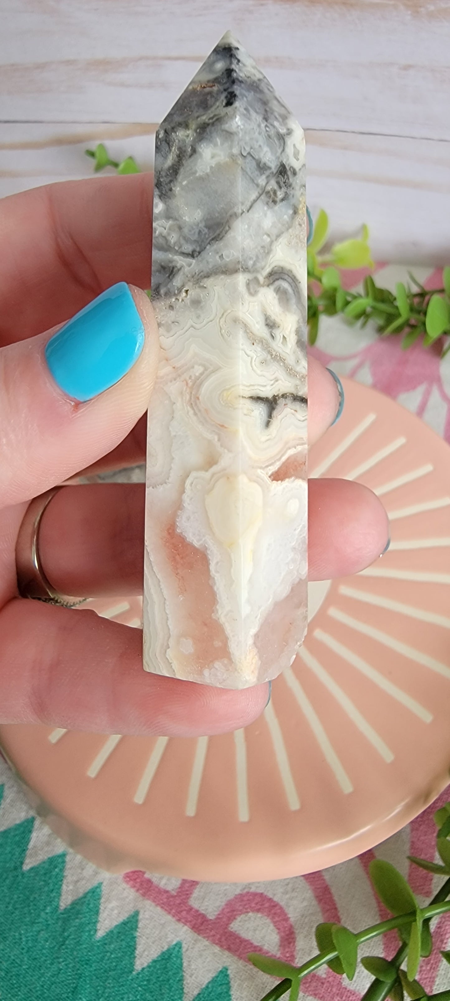 Crazy Lace Agate Bayside Treasures