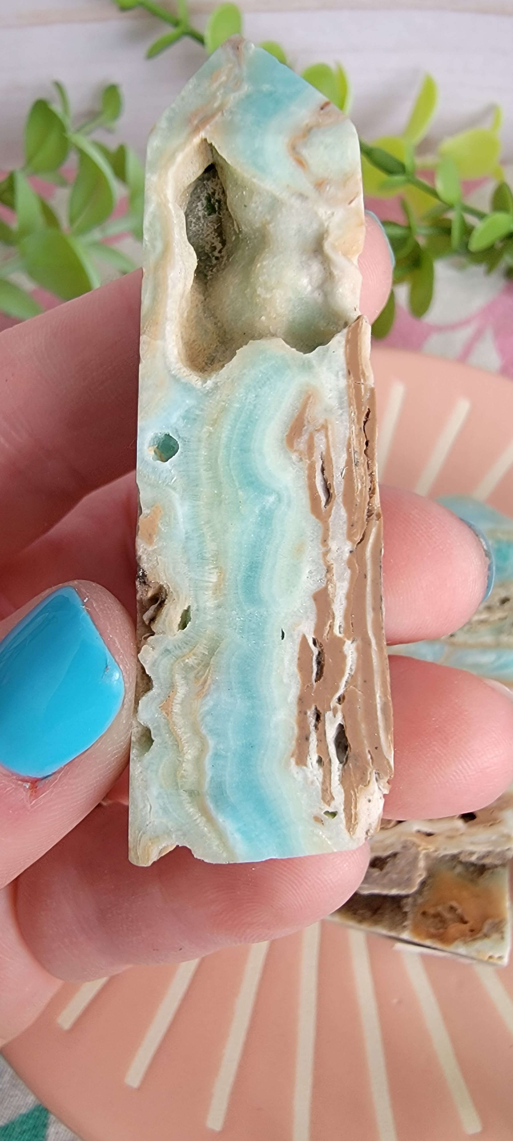 Caribbean Calcite Towers Bayside Treasures