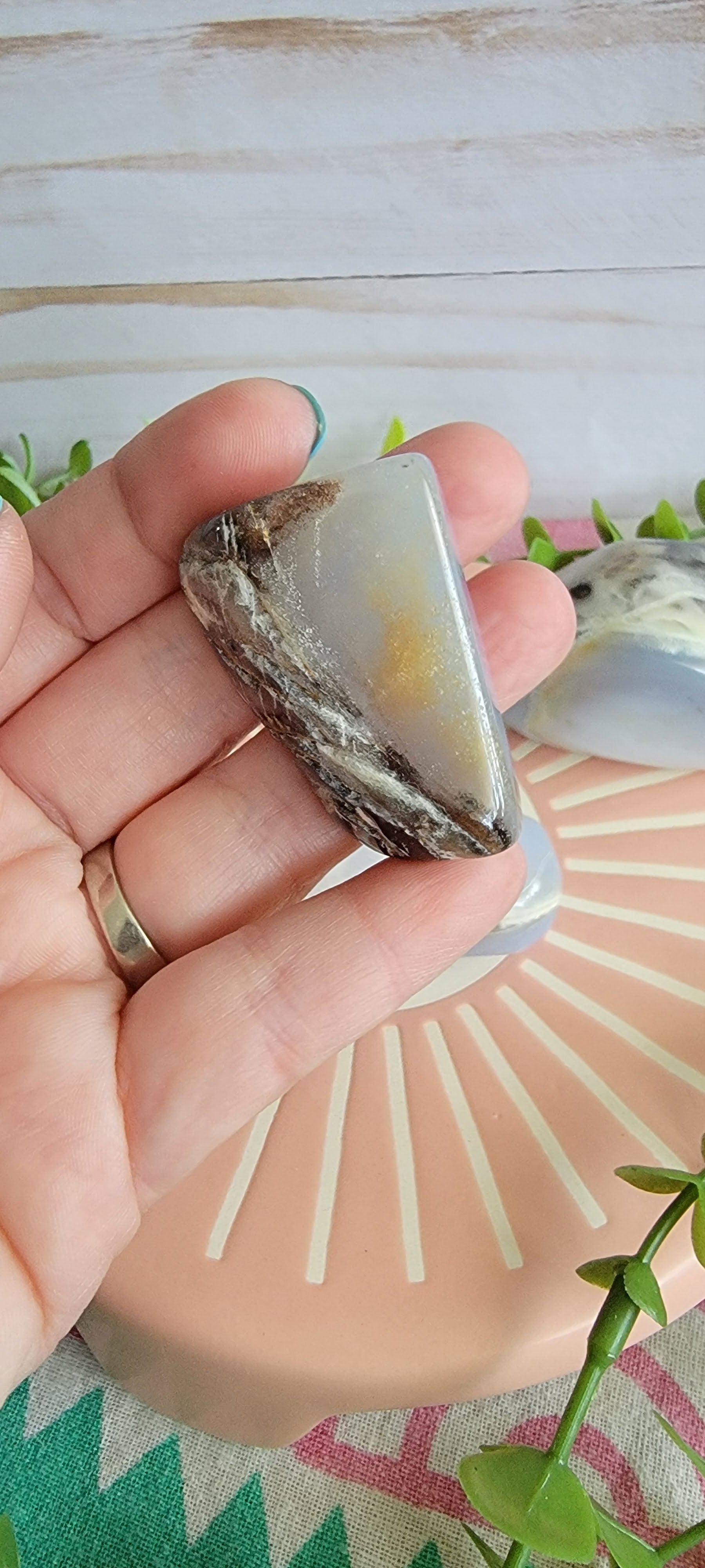 Small Chalcedony Free Forms Bayside Treasures