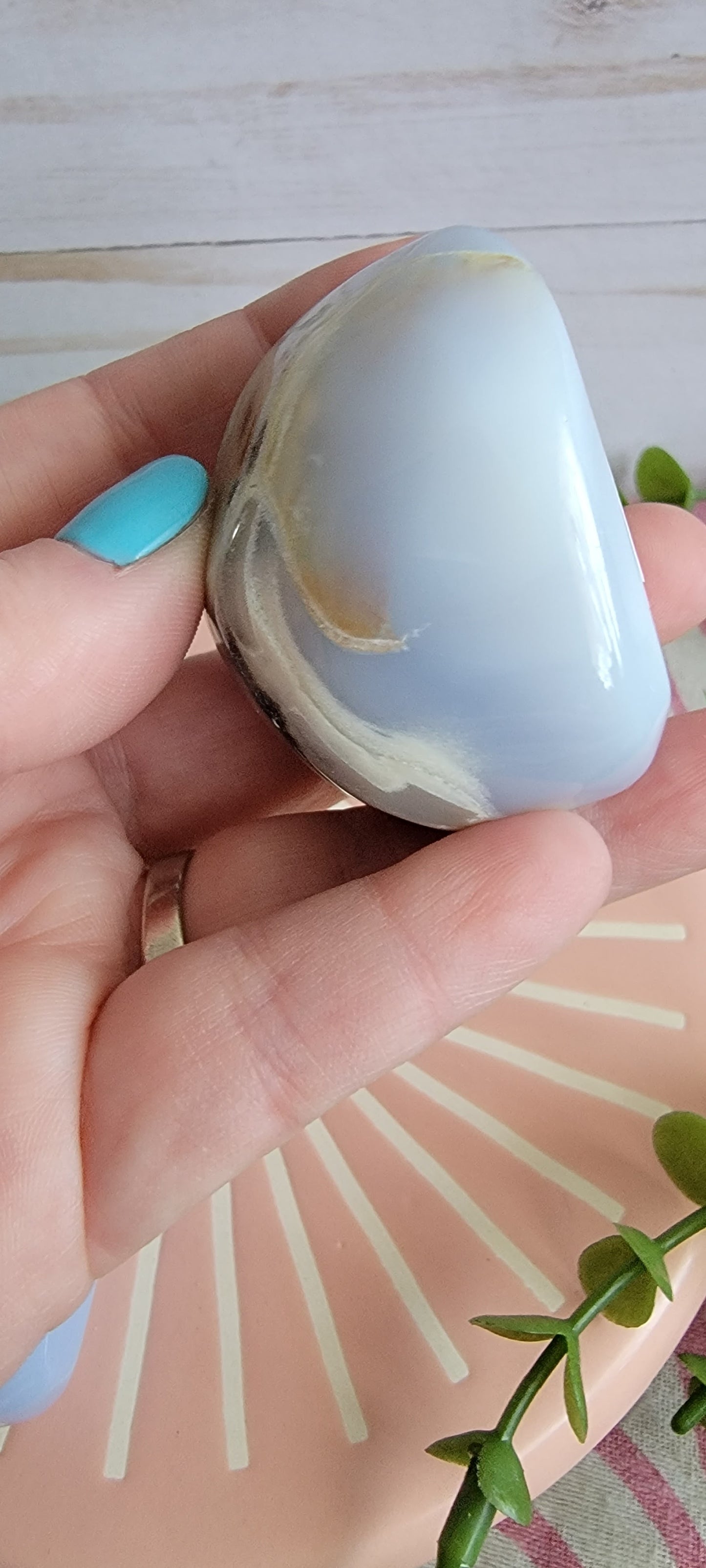 Small Chalcedony Free Forms Bayside Treasures