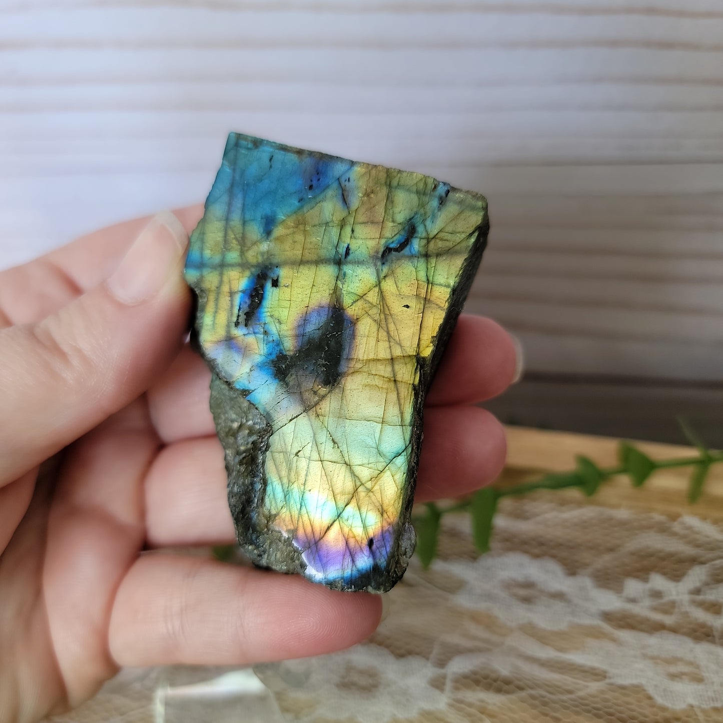 Semi Polished Labradorite