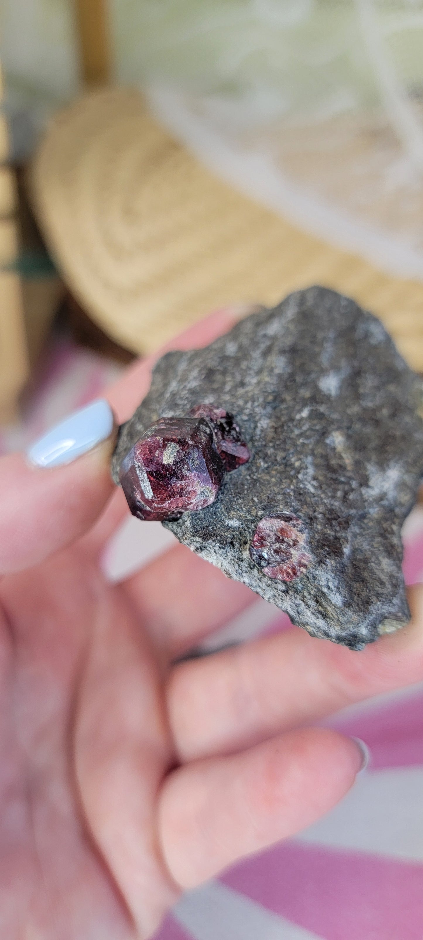 Garnet in the Matrix