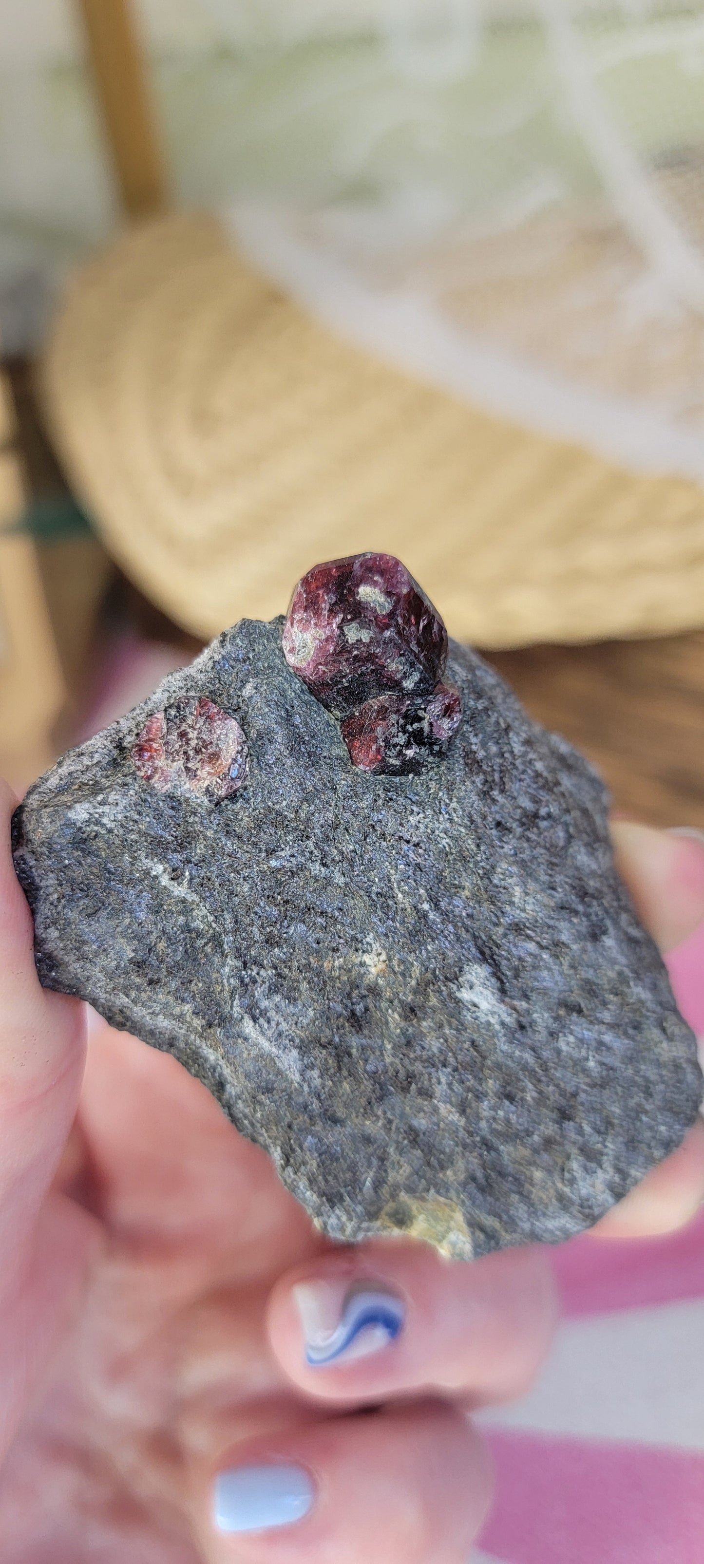 Garnet in the Matrix