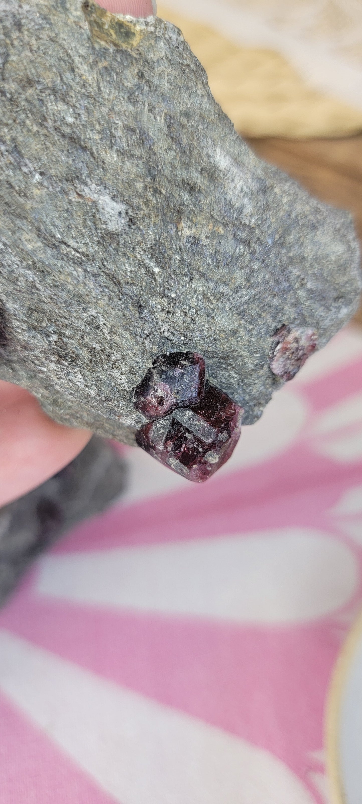 Garnet in the Matrix