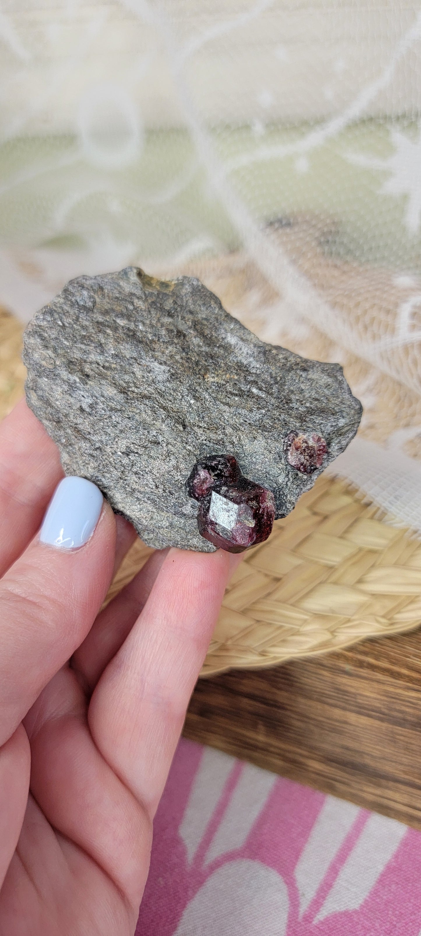 Garnet in the Matrix